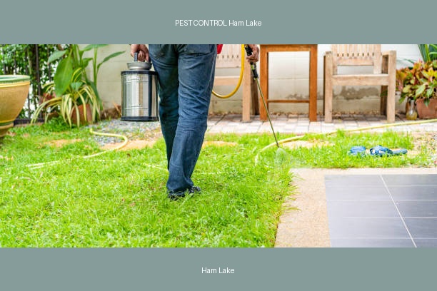 PEST CONTROL Ham Lake